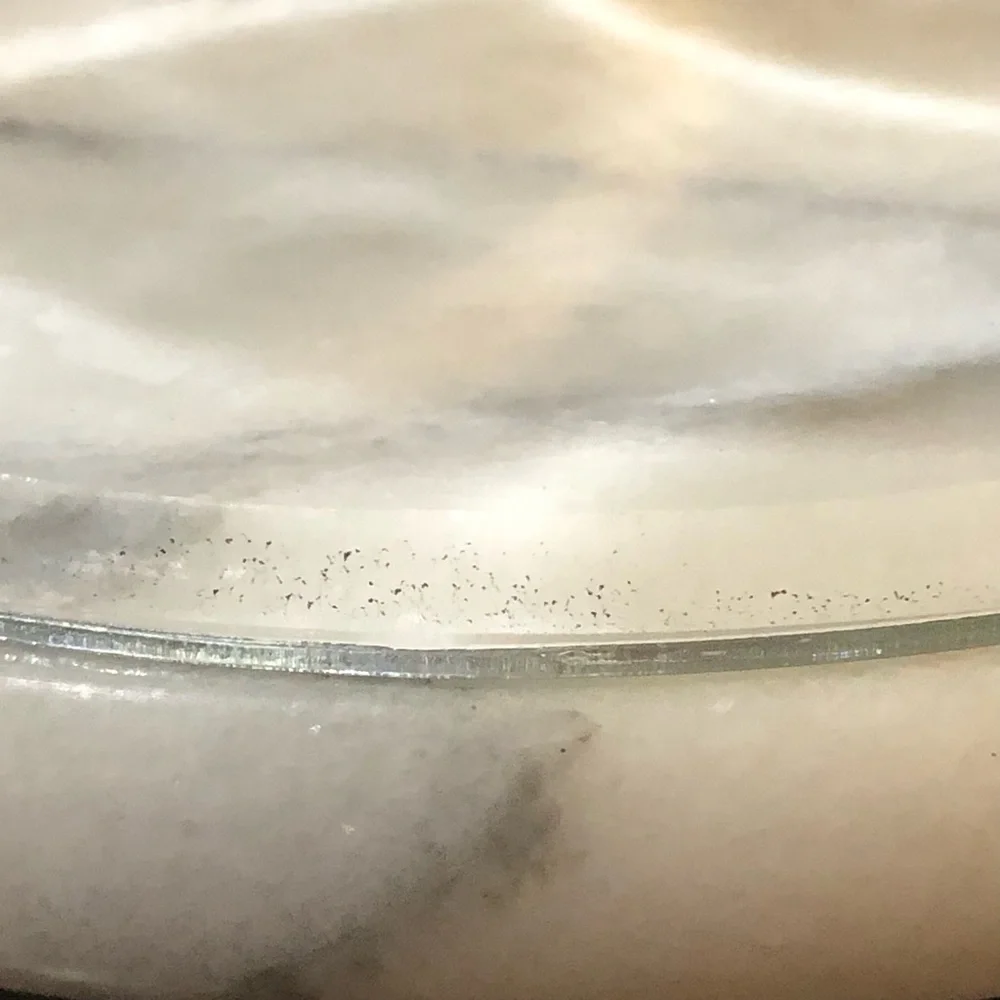 Marble Cheese Board W/ Tempered Glass Dome - Picture 9 of 9